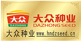 大眾種業網站